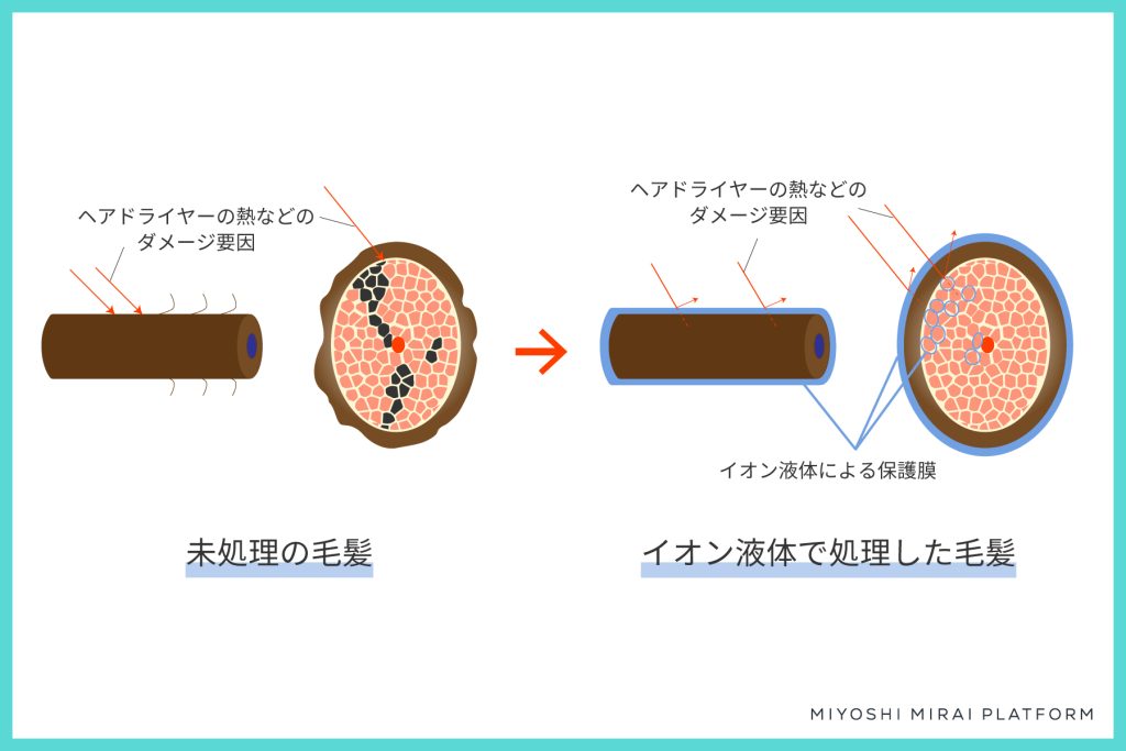 ヒートプロテクトのメカニズムイラスト
左：未処理毛髪
右：イオン液体処理毛髪